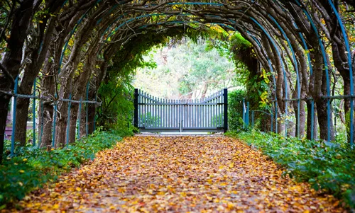 Garden_gates
