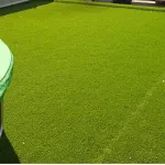 Gallery - 20191010_160454