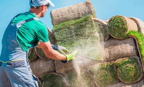 Cleaning_turf