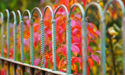 iron_fencing
